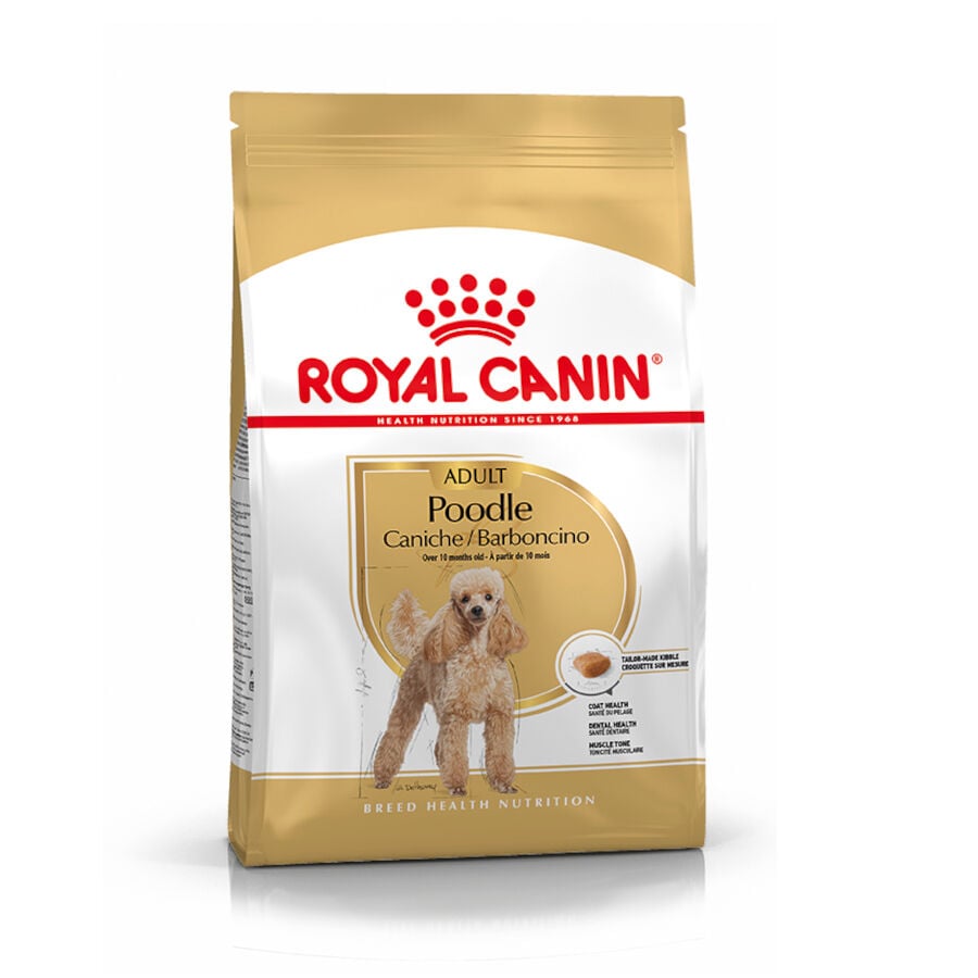 Royal Canin Adult Poodle pienso para perros, , large image number null